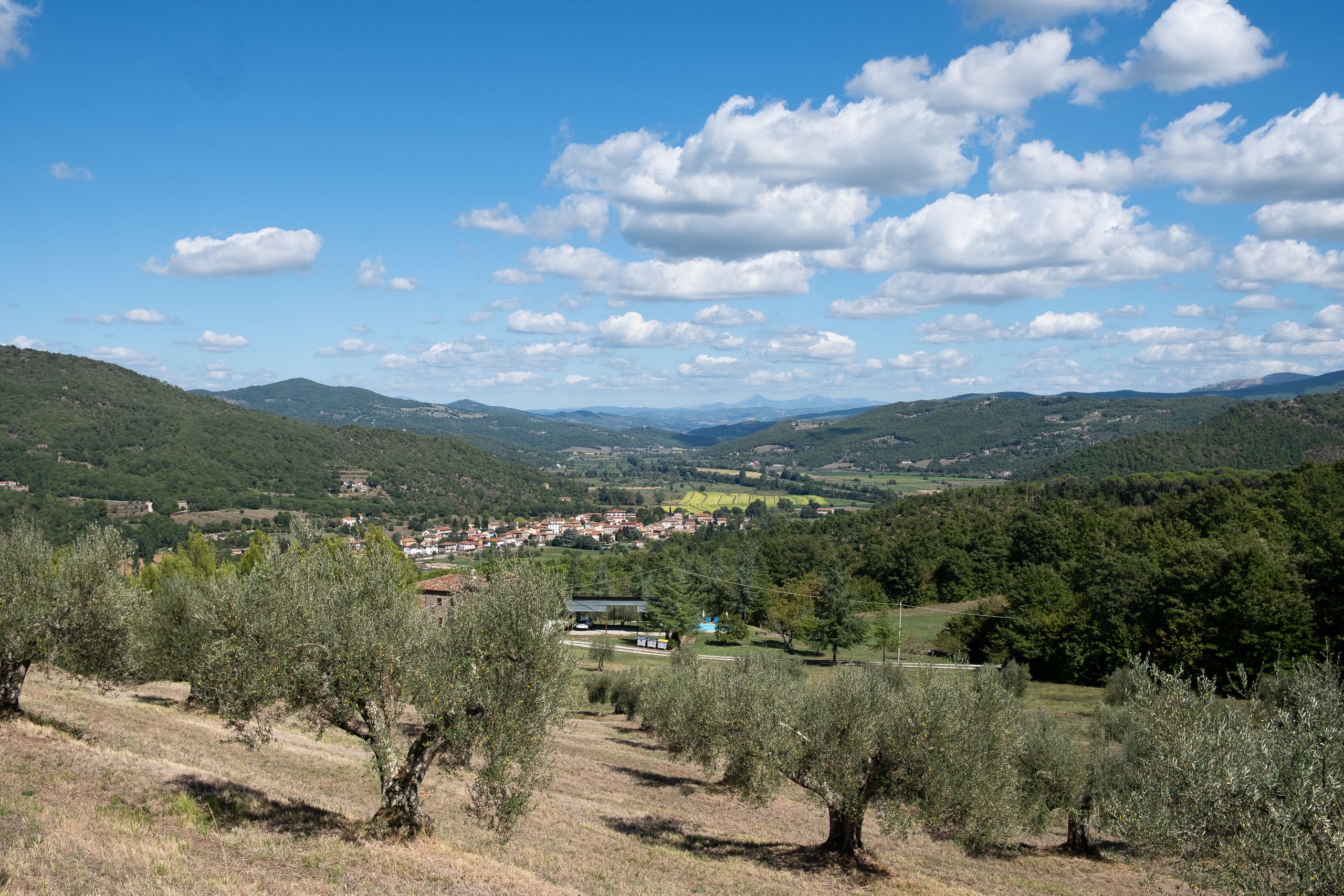 Olivenhain am Anstieg – Blick zurück ins Tal